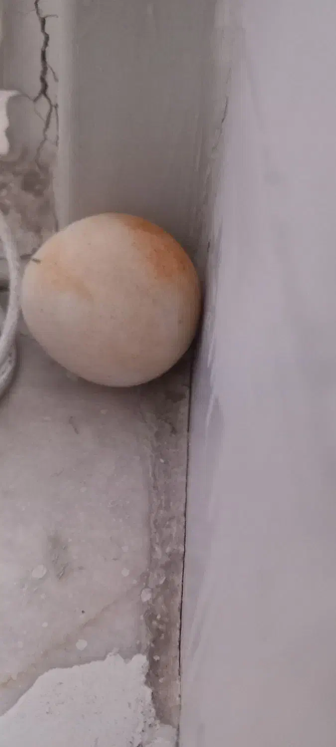 سنگ اسیاب|کلکسیون اشیاء عتیقه|اراک, |دیوار