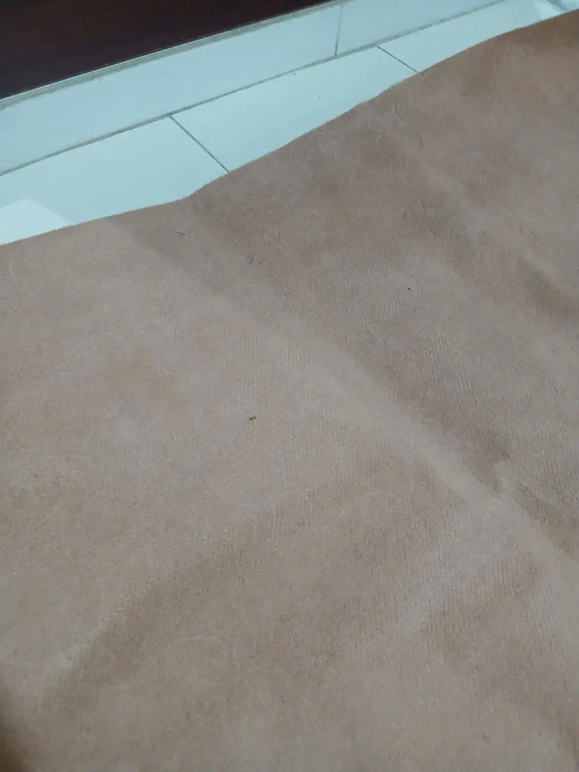 موکت|موکت|قزوین, |دیوار