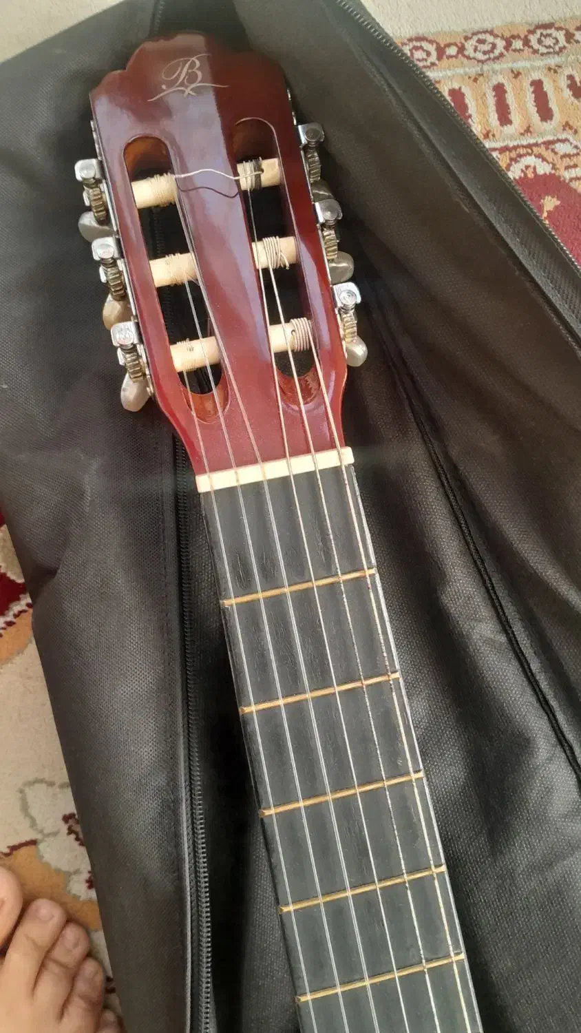 ا عدد گیتار کلاسیک بفروش میرسد|گیتار، بیس، امپلیفایر|تهران, علم و صنعت|دیوار