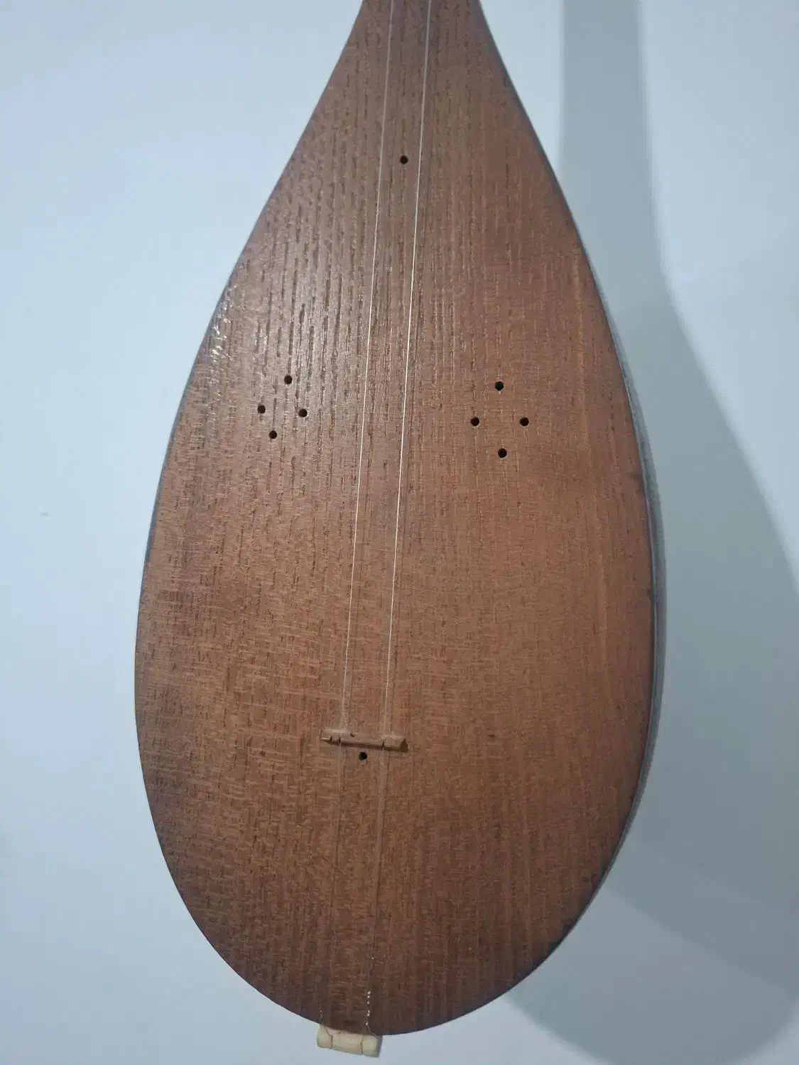 ساز دو تار مشهد|سازهای سنتی|قدس, شهر‌قدس|دیوار