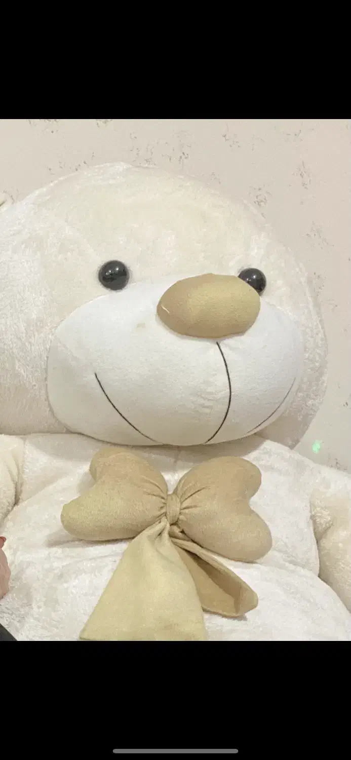 خرس دو متری|اسباب‌‌بازی|اردبیل, |دیوار