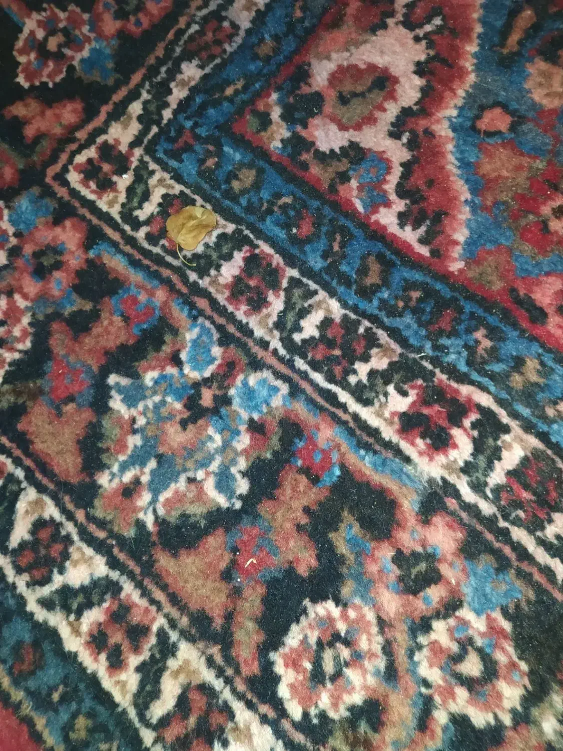 فرش دستباف|فرش|کبودرآهنگ, |دیوار