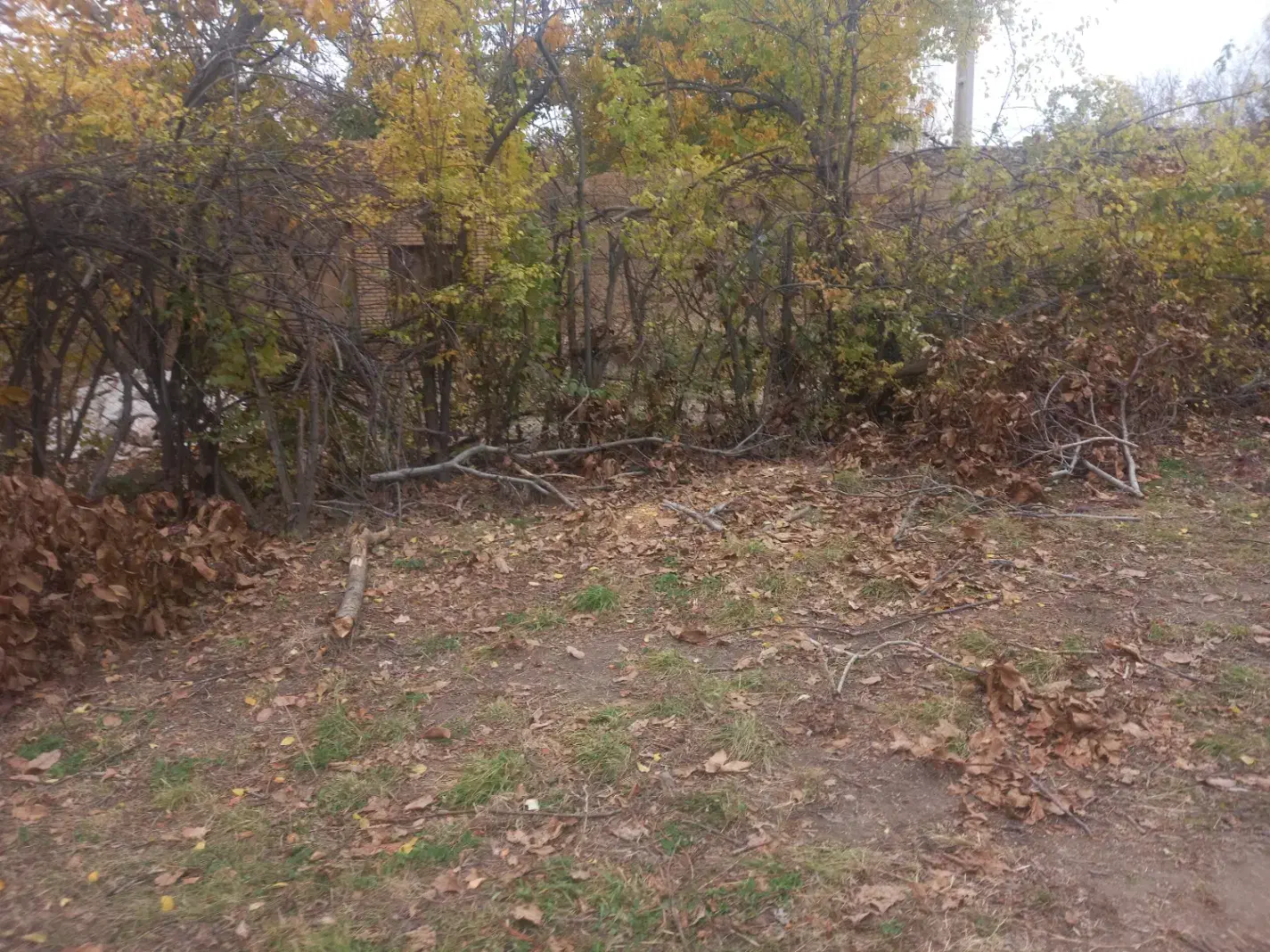 فروش قطعات ۱۰۰۰ متری باغ و زمین کشاورزی|فروش زمین و ملک کلنگی|نهاوند, |دیوار