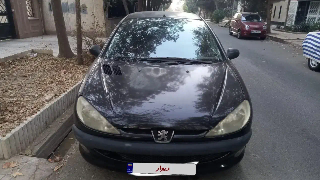 ۲۰۶ مدل ۱۳۸۸|خودرو سواری و وانت|کرج, ساماندهی|دیوار