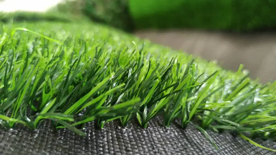 فروش و اجرای تخصصی چمن مصنوعی با قیمت مناسب|مصالح و تجهیزات ساختمان|اردبیل, |دیوار