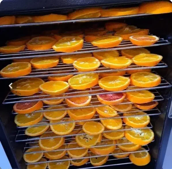 دستگاه میوه خشک کن|سایر لوازم برقی|تبریز, |دیوار