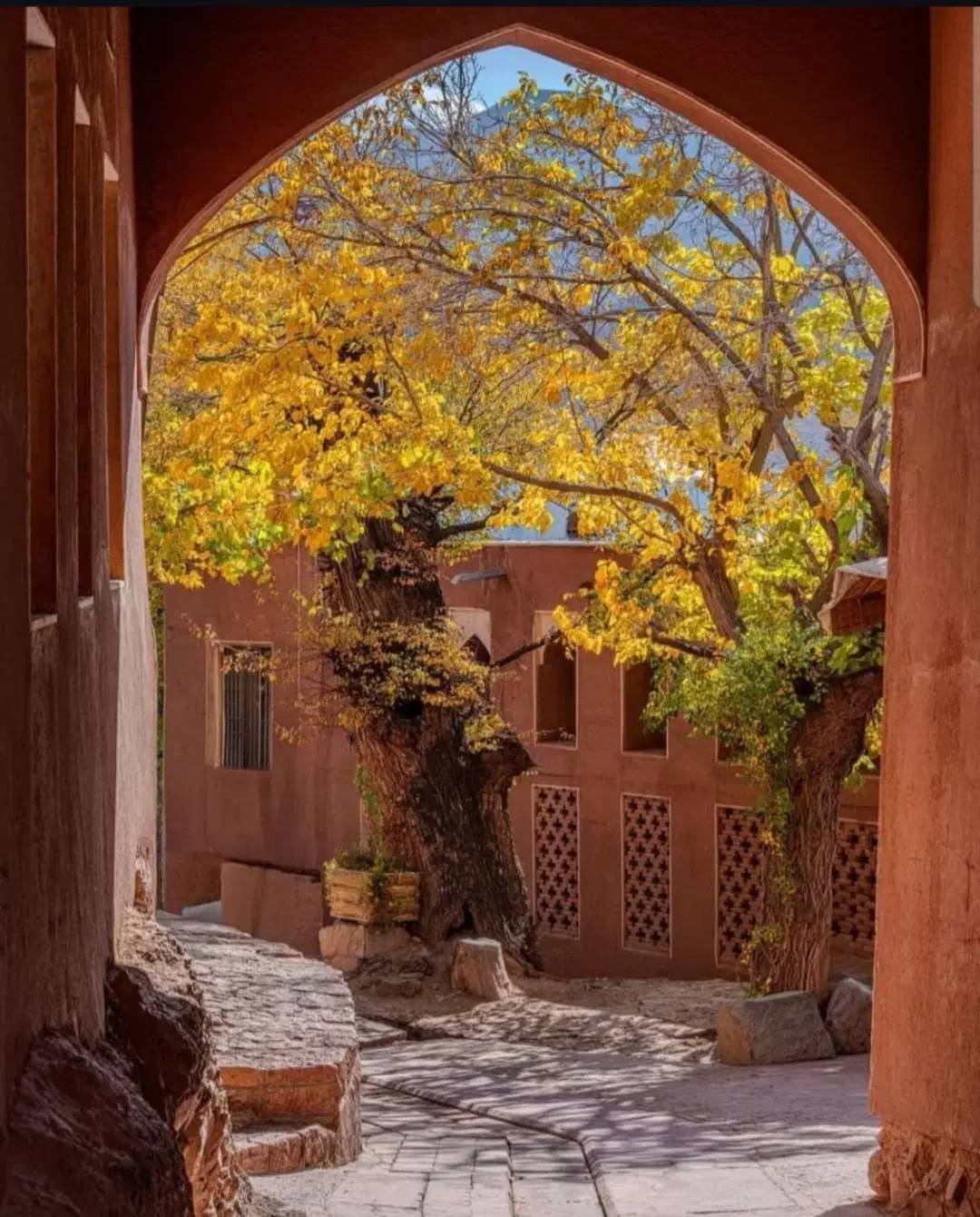 تورشادابیانه و زیارت آقاعلی عباس|تور و چارتر|ورامین, ورامین|دیوار