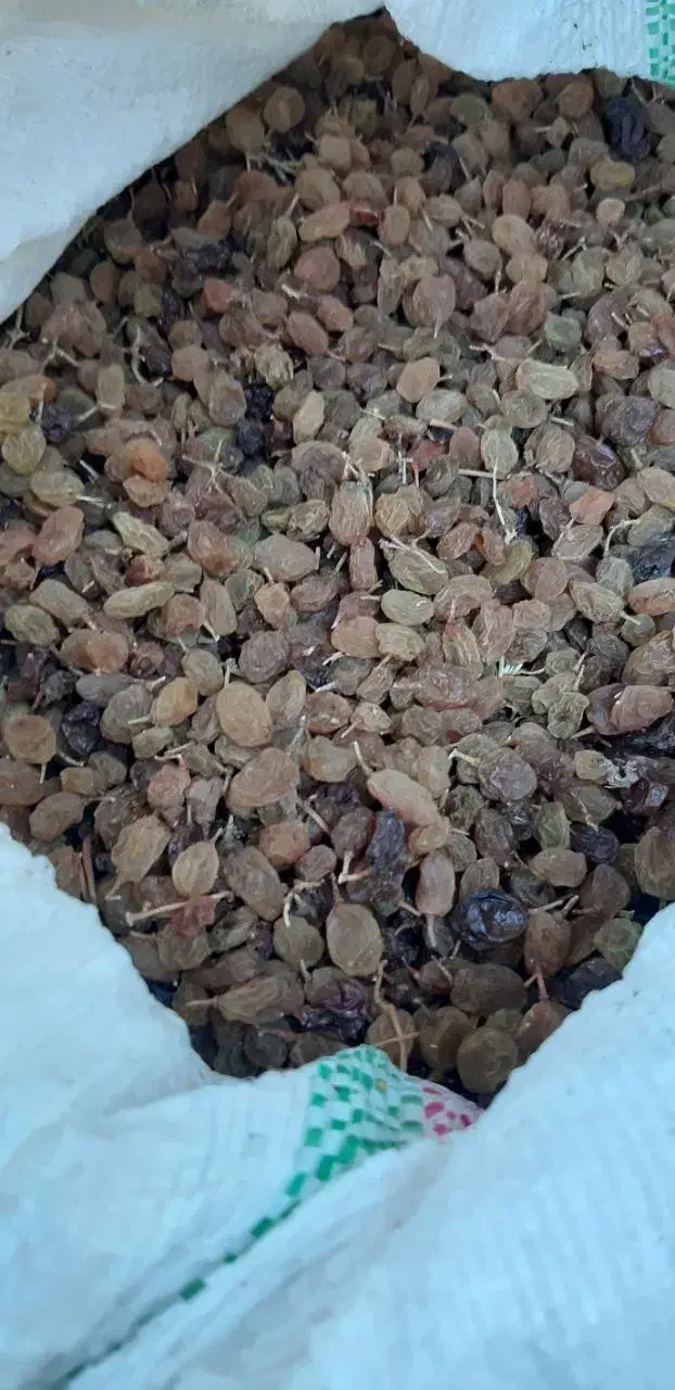 کشمش تیزابی|خوردنی و آشامیدنی|ملایر, |دیوار