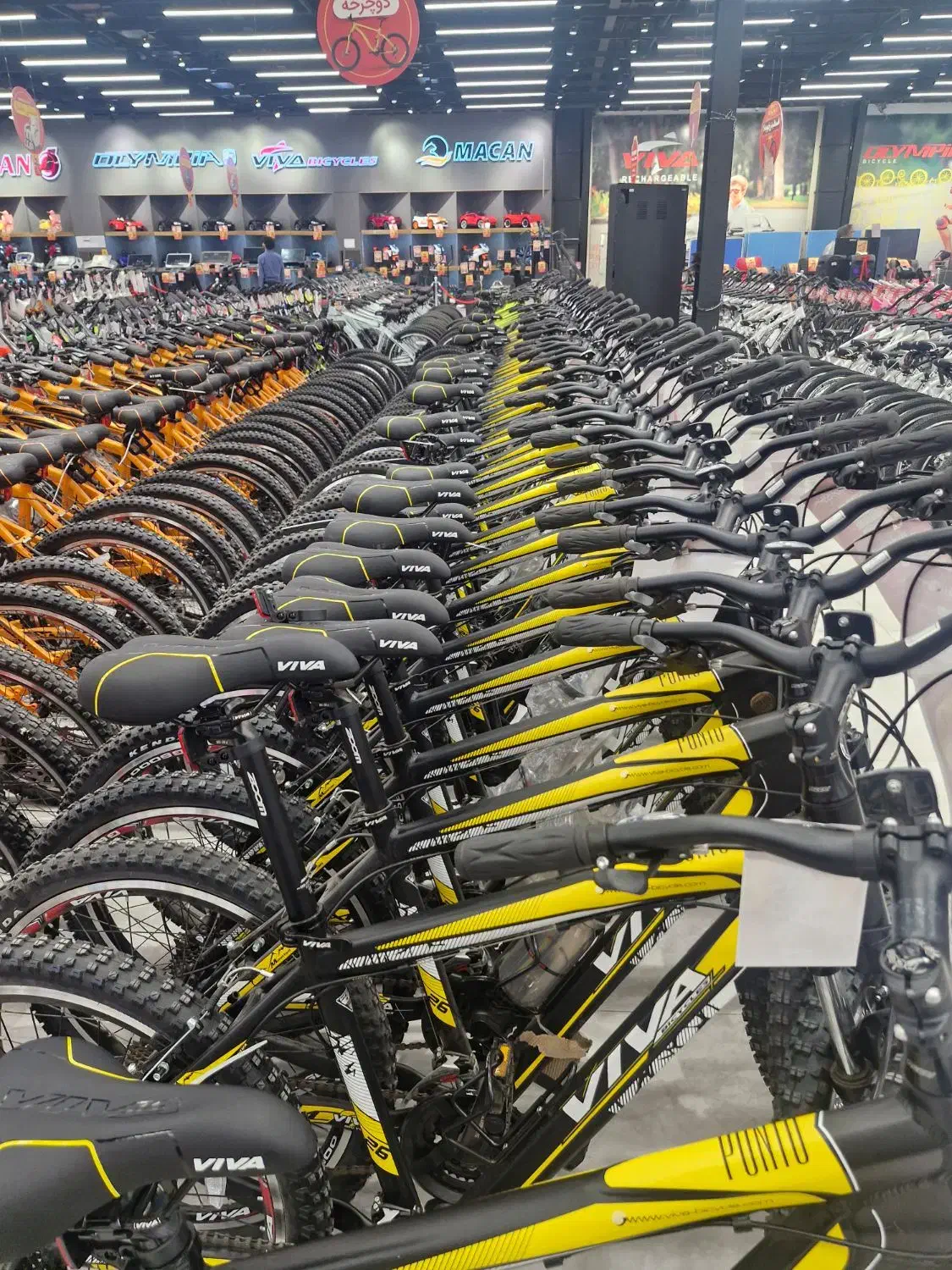 دوچرخه ۲۶ و ۲۴ آقای دوچرخه|دوچرخه، اسکیت، اسکوتر|کرج, کیانمهر|دیوار