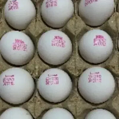 تخم مرغ روز پرینت|خوردنی و آشامیدنی|مشهد, آزادشهر|دیوار