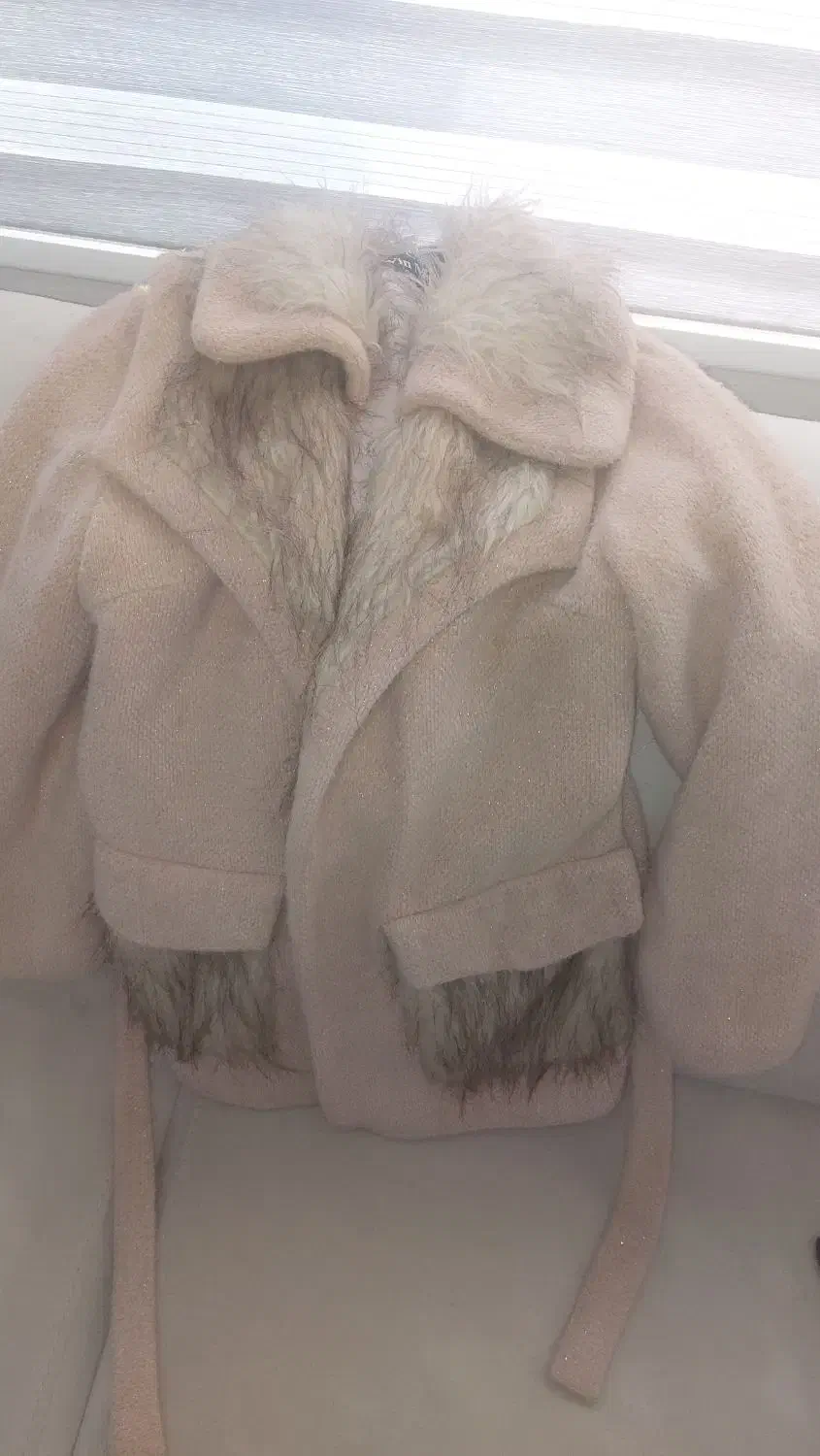 پالتو|لباس|پرند, فاز ۵|دیوار