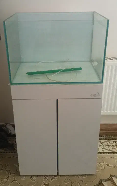 آکواریوم و ماهی|ماهی|ری, دیلمان|دیوار