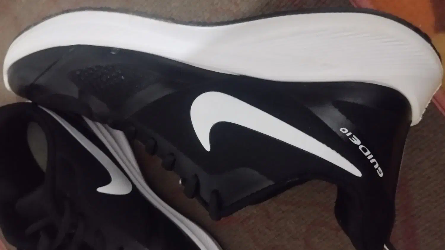 کفش|کیف، کفش، کمربند|سنندج, |دیوار