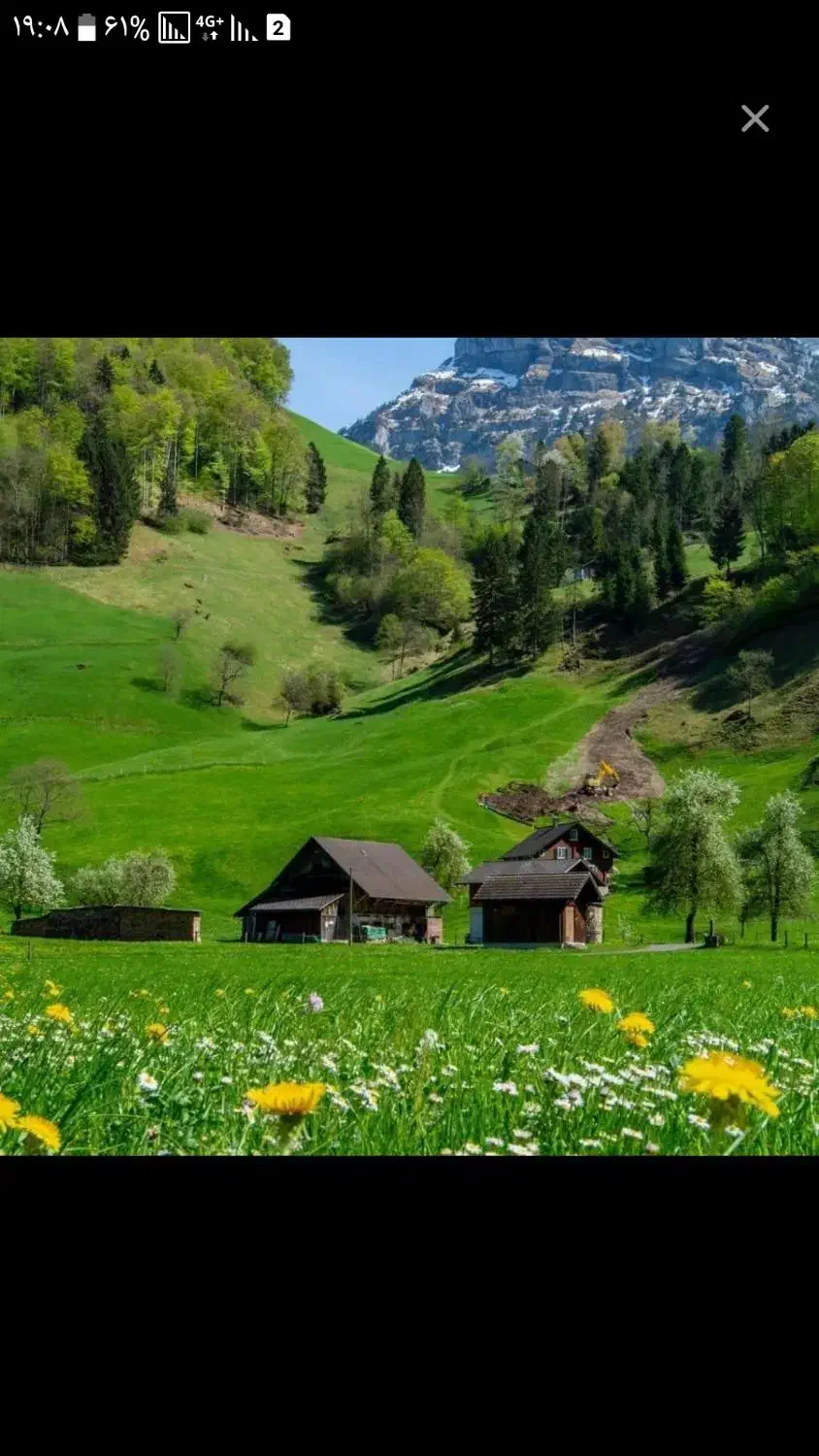 مسافرت سفر|خدمات حمل و نقل|یزد, |دیوار