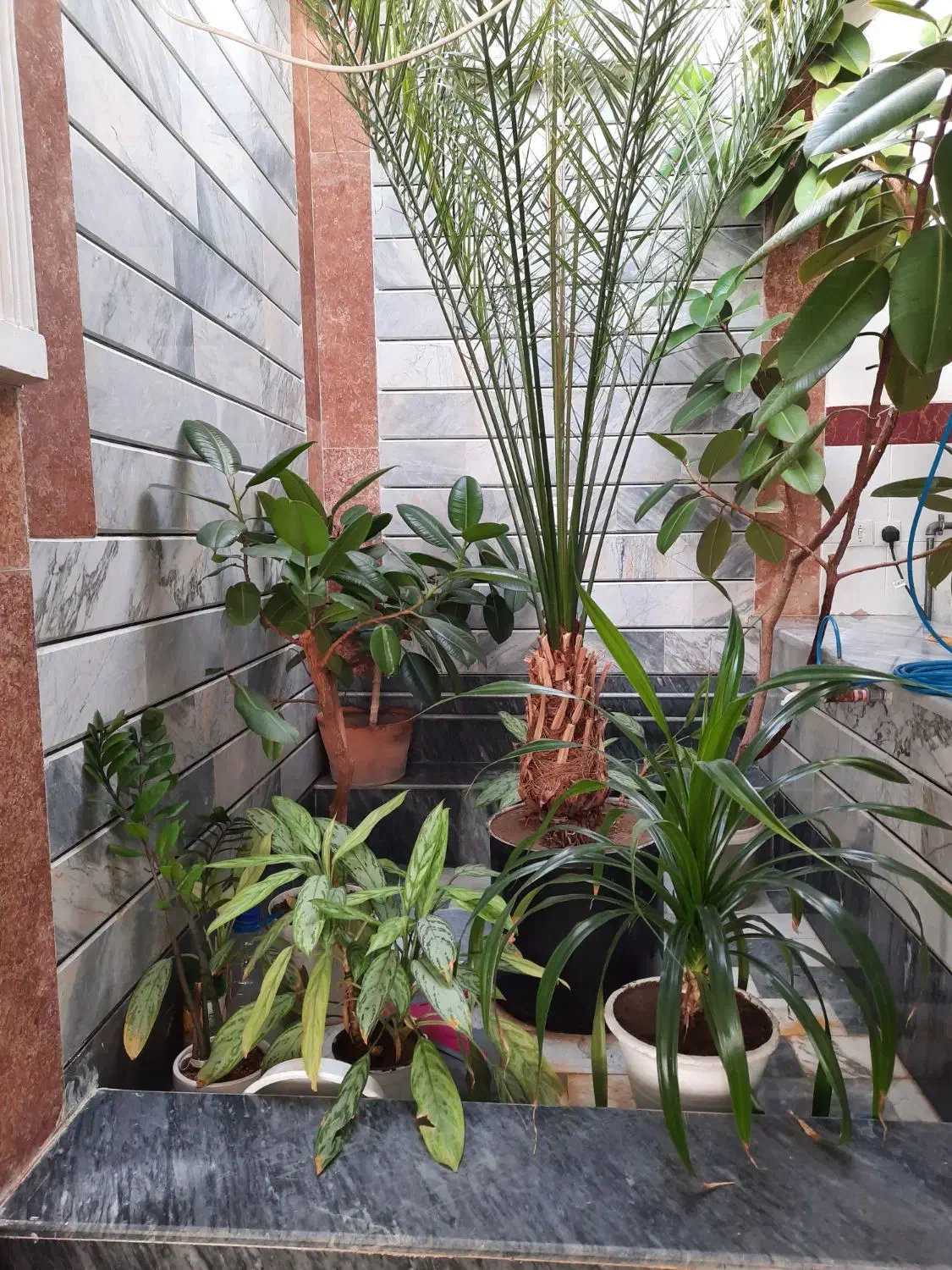 فروش خانه حیاط دار|فروش خانه و ویلا|عجب شیر, |دیوار