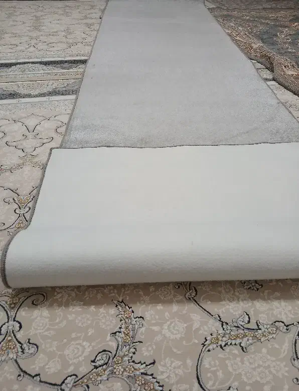 فرش|موکت|دورود, |دیوار