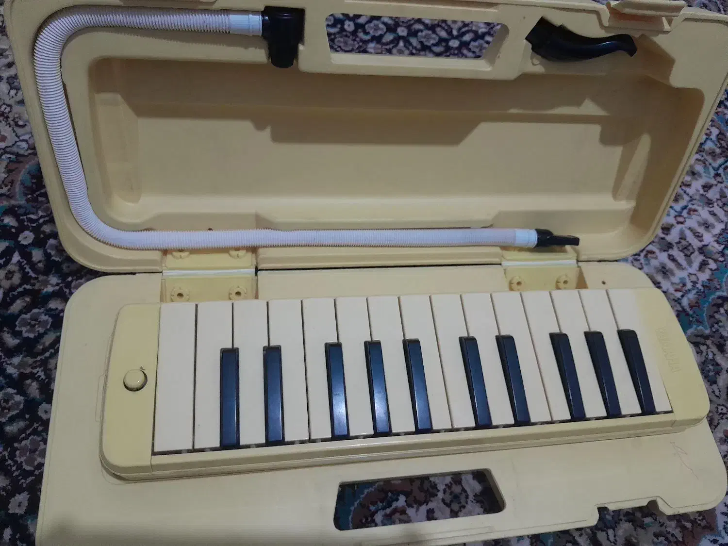 پیانو|پیانو، کیبورد، آکاردئون|سهند, |دیوار