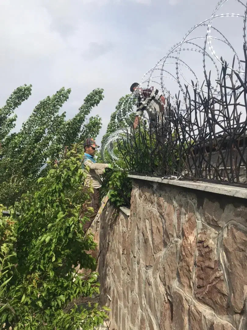 نصب توری و سیم خاردار|خدمات پیشه و مهارت|ری, بازار آهن|دیوار