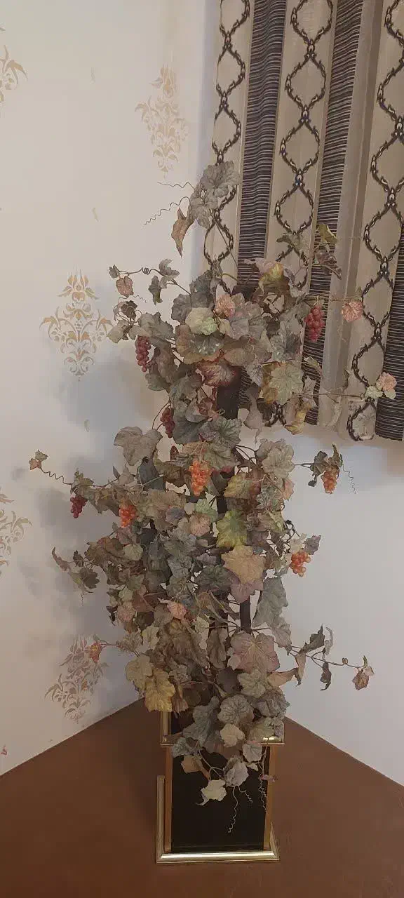 سمساری|حراج|بیرجند, |دیوار