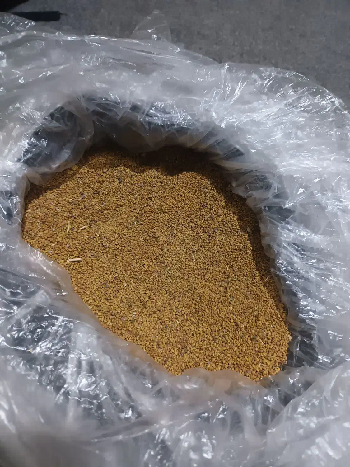 بذر یونجه|گل و گیاه طبیعی|گتوند, |دیوار