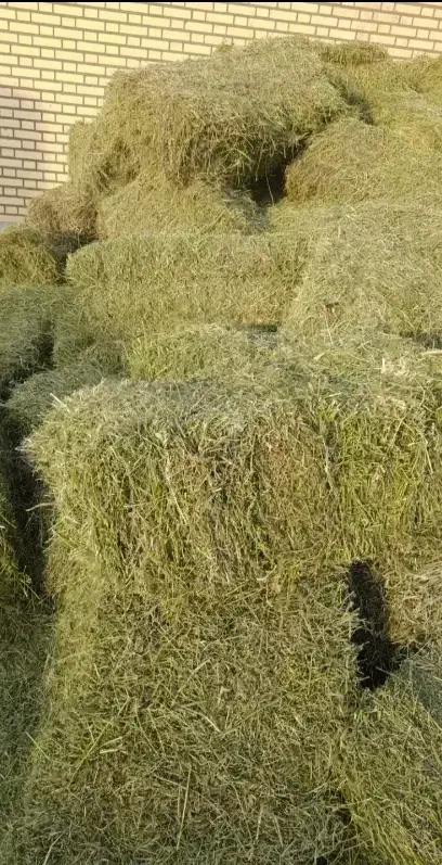 پرس شبدر چن سوم درجه 1|لوازم جانبی حیوانات|بروجرد, |دیوار