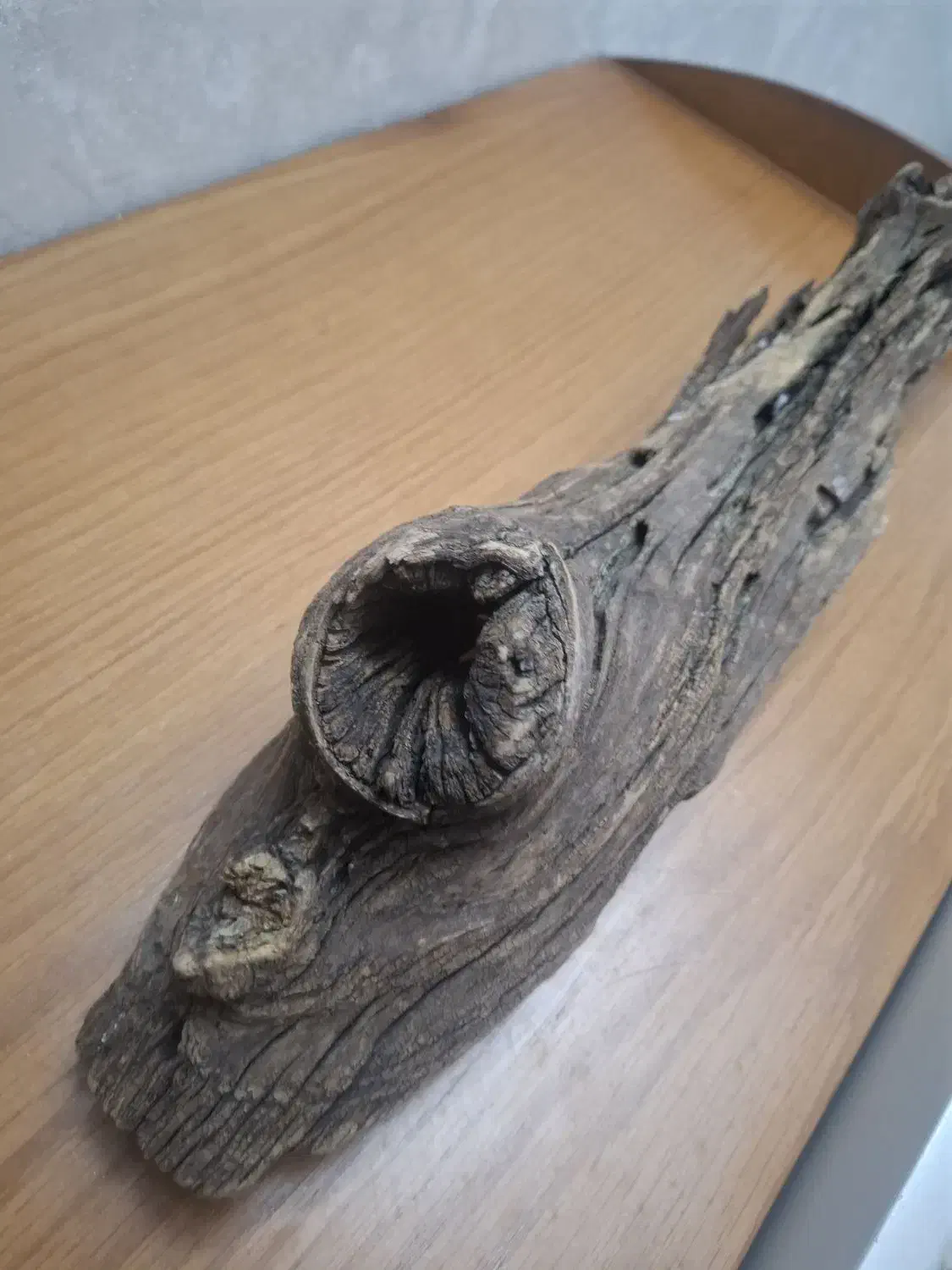 آبنوس بلک واتر|ماهی|تهران, منیریه|دیوار