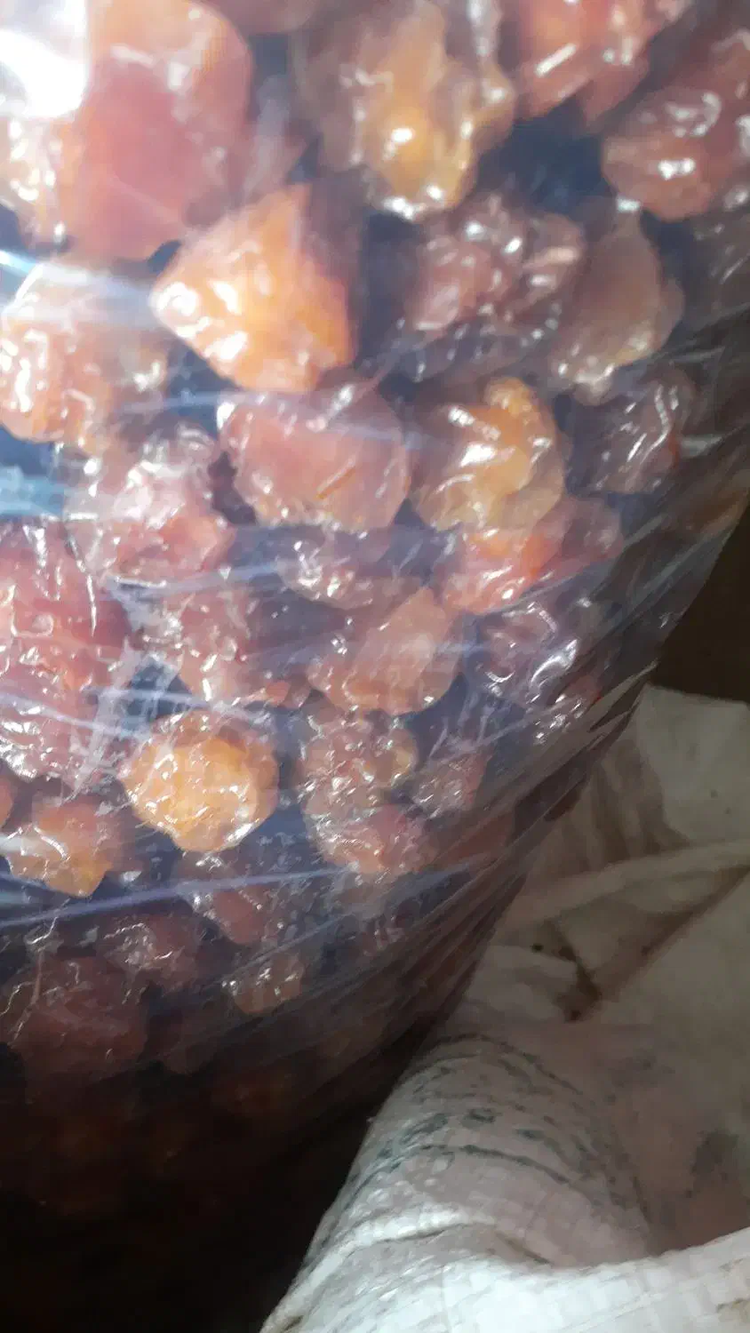 خوشک بار|خوردنی و آشامیدنی|صوفیان, |دیوار