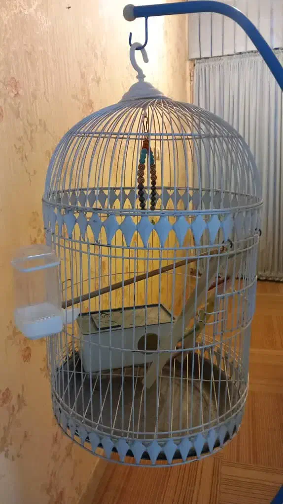 قفس|لوازم جانبی حیوانات|اهواز, بهارستان|دیوار