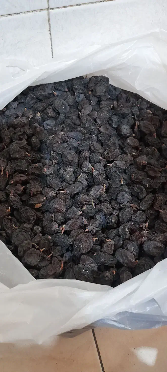 مویز و شیره انگور  و کندو زنبور|خوردنی و آشامیدنی|شیراز, کوشک میدان|دیوار