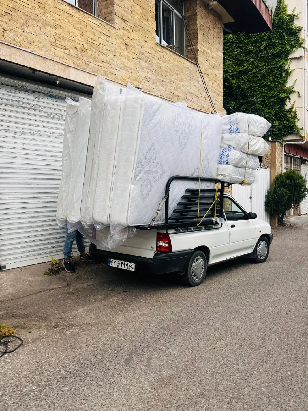 تشک به قیمت کارخانه|تشک تختخواب|چالوس, |دیوار