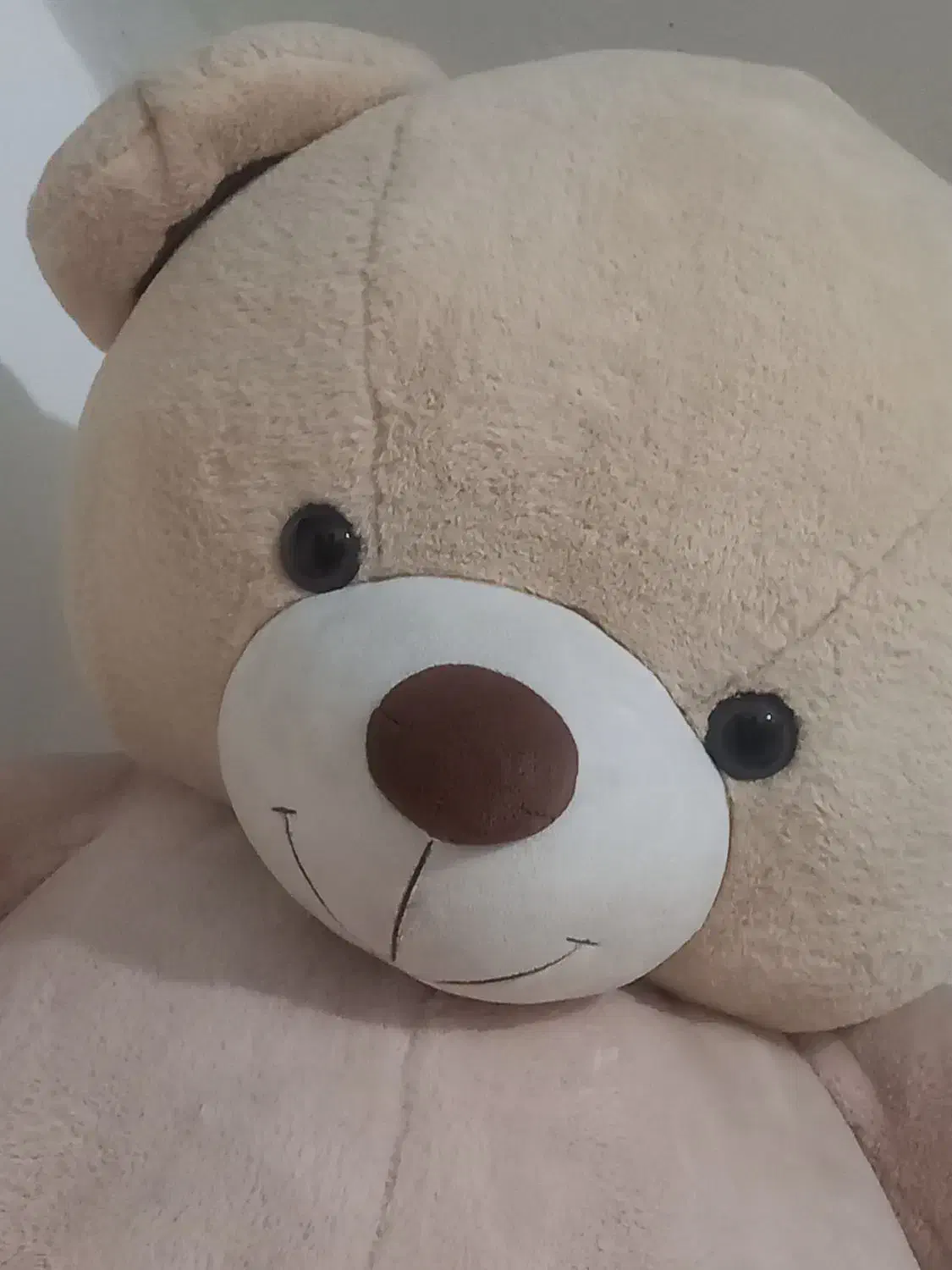 عروسک|اسباب‌بازی بچه|تربت‌حیدریه, قائم|دیوار