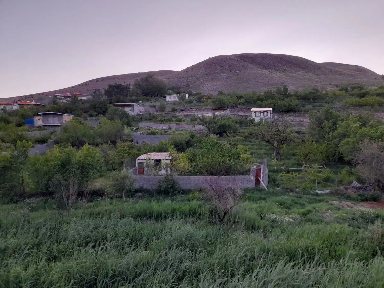 باغ کوچک یا باغچه|فروش خانه و ویلا|صوفیان, |دیوار