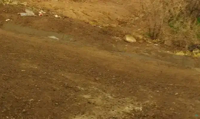 زمین فروشی|فروش زمین و ملک کلنگی|بجستان, |دیوار