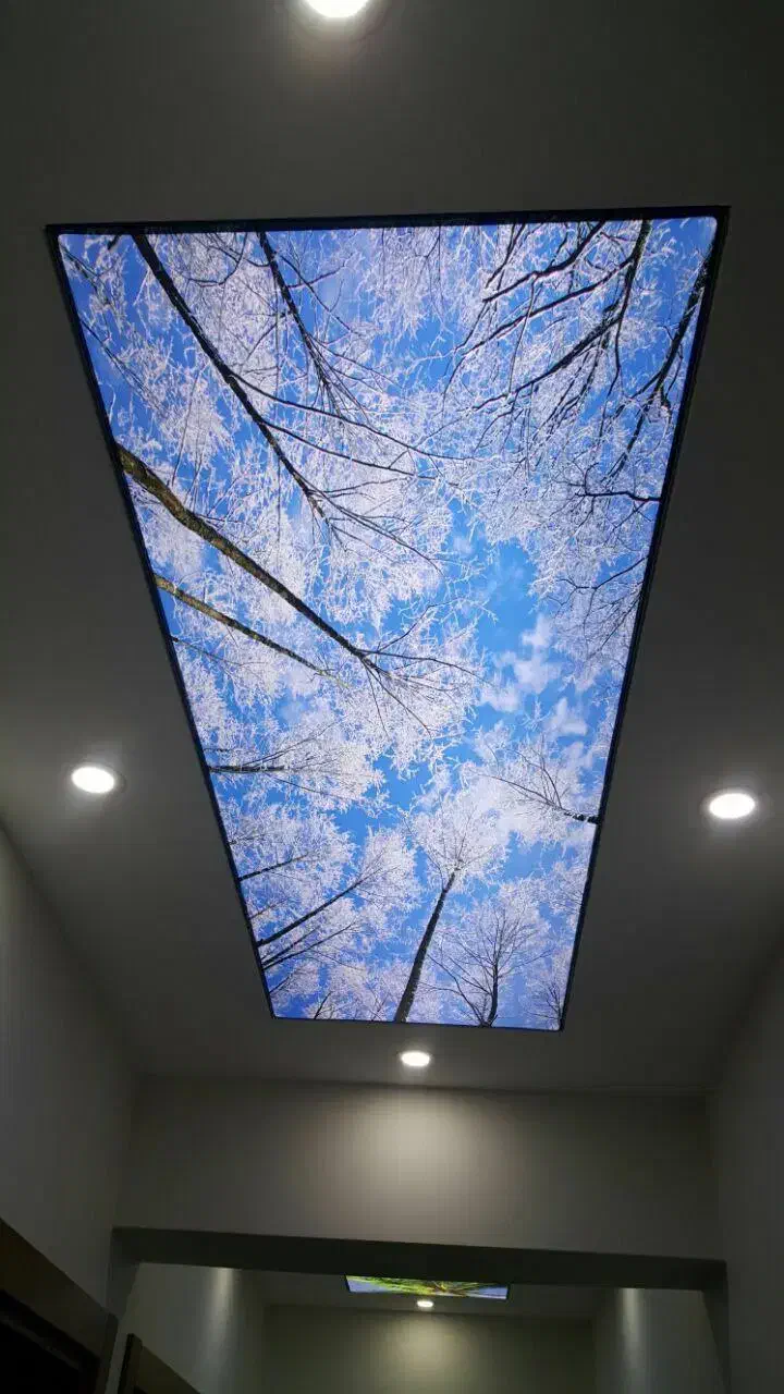 کناف کاغذ دیواری|خدمات پیشه و مهارت|سبزوار, باهنر|دیوار