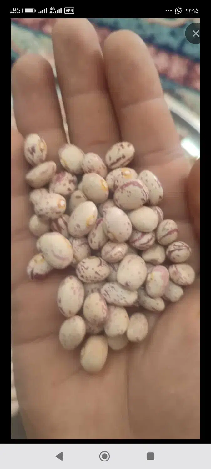 لوبیا چیتی|خوردنی و آشامیدنی|سراوان, |دیوار