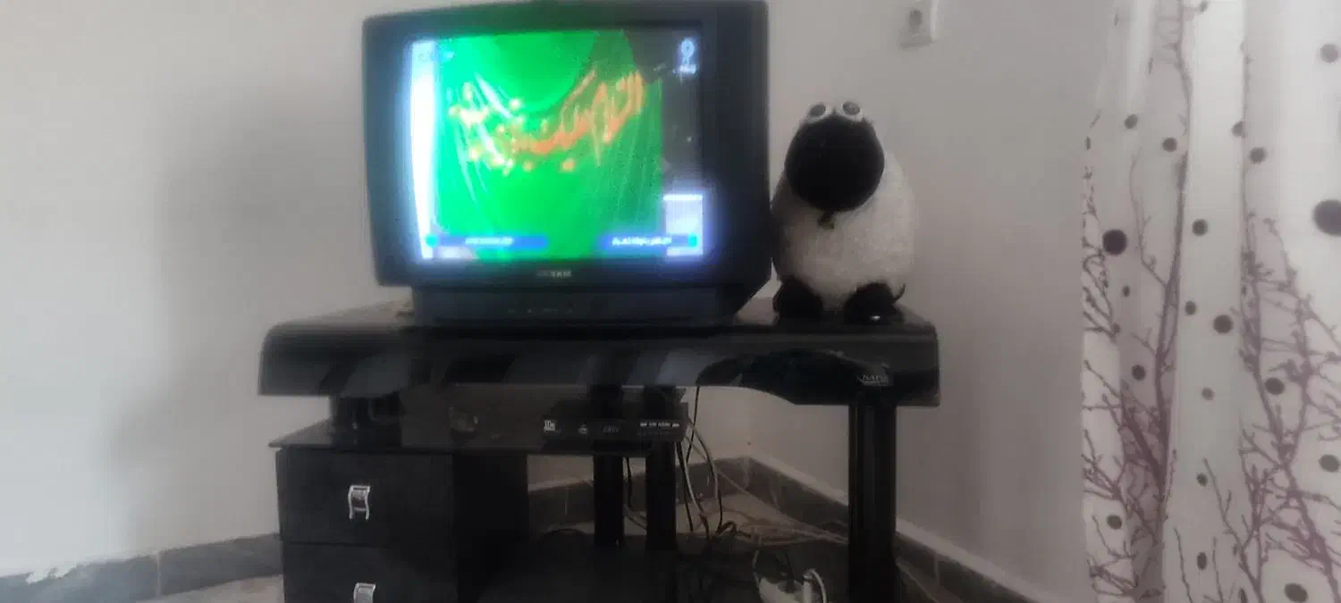 تلوزیون و زیر تلوزیونی|تلویزیون و پروژکتور|دزفول, |دیوار