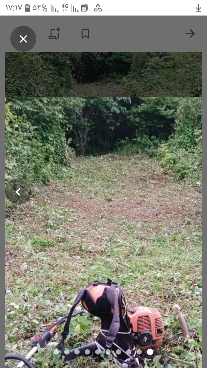 چمن زنی|خدمات باغبانی و درختکاری|بندر انزلی, بشمن|دیوار