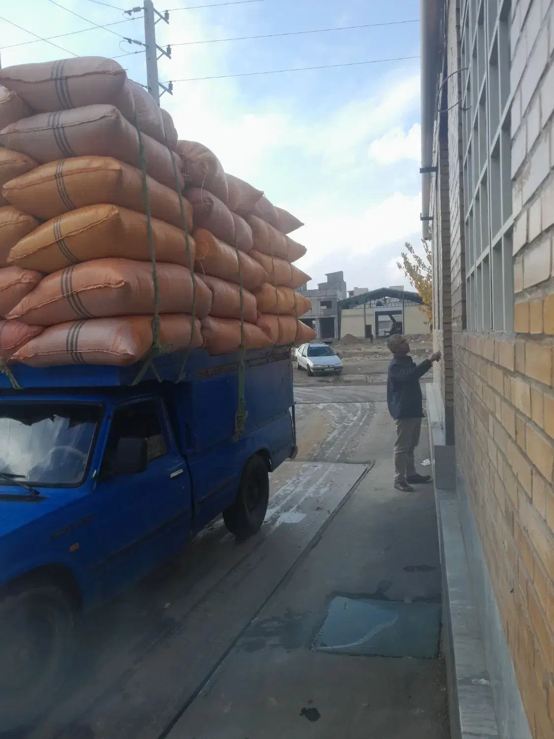 کاه گندم ریزونرم|عمده‌فروشی|رشت, لاکان|دیوار