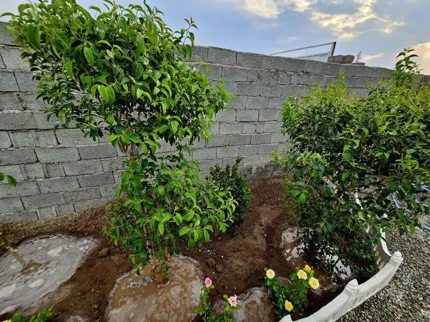 باغ و باغچه170متری (کنتوربرق قانونی)آب|فروش زمین و ملک کلنگی|شهریار, شهرک شاهد|دیوار