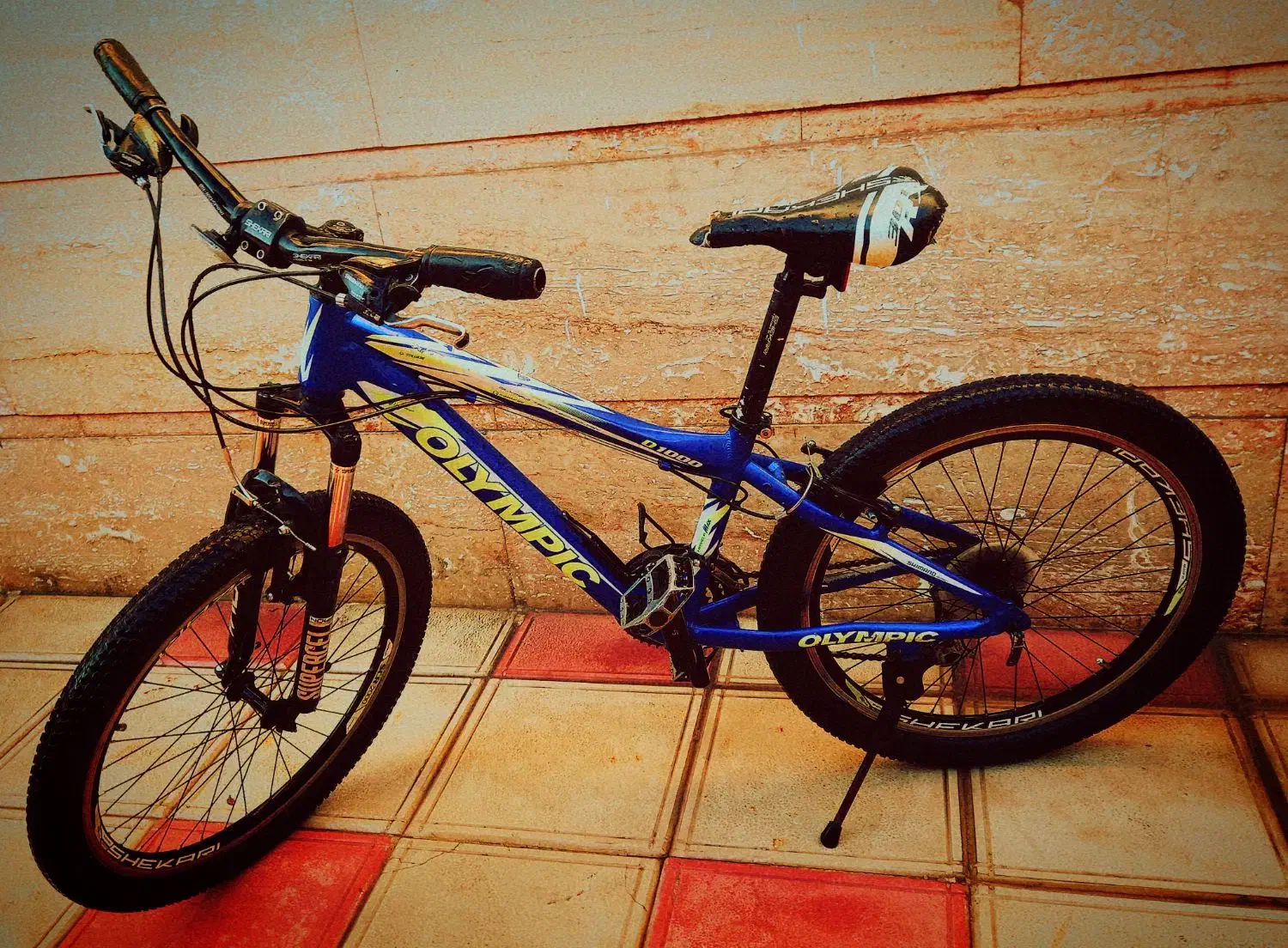 دوچرخه ۲۴|دوچرخه، اسکیت، اسکوتر|آشخانه, |دیوار