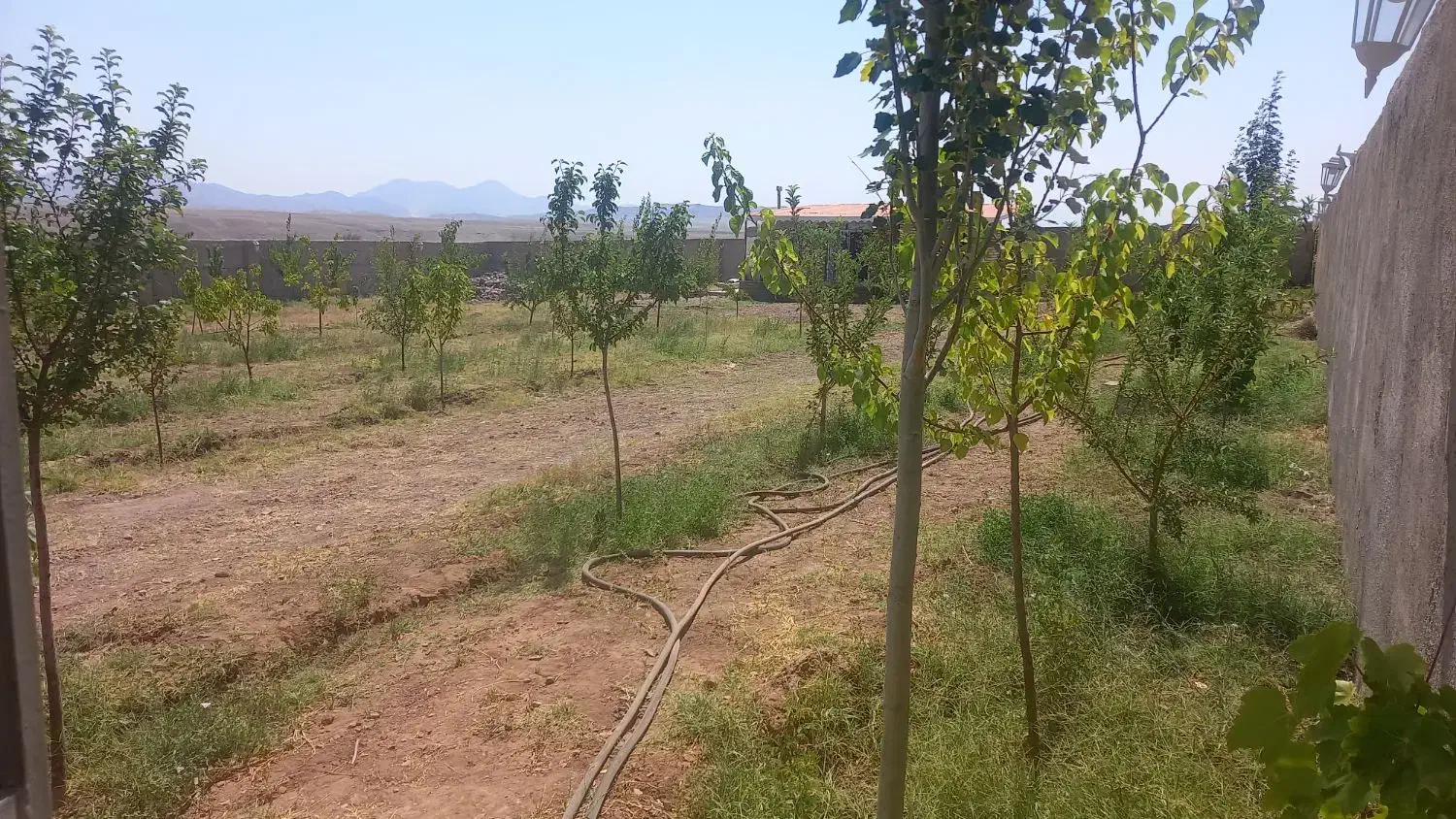 باغ با حصار کامل برق دار ۵۰۰متر|فروش زمین و ملک کلنگی|صوفیان, |دیوار