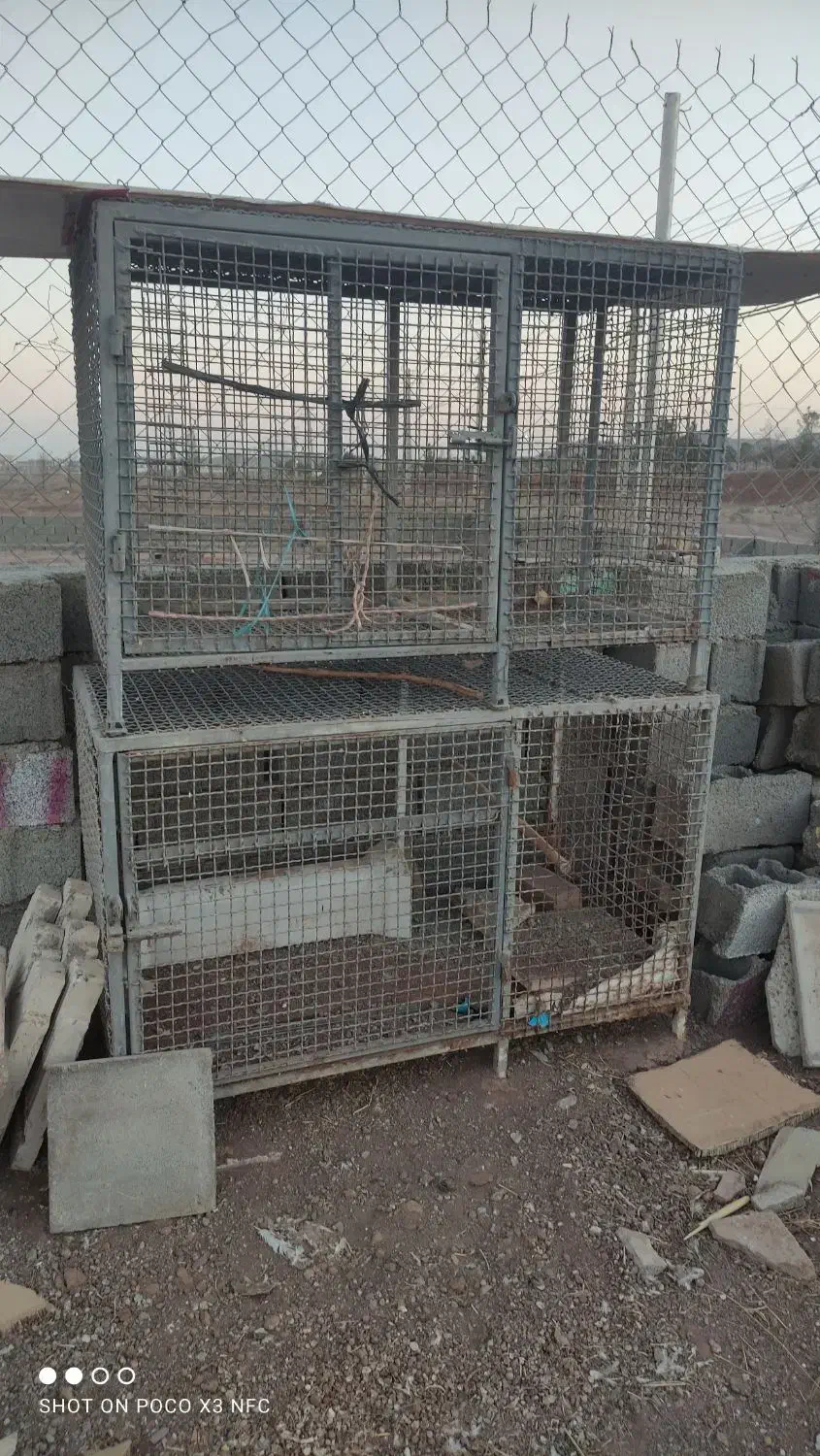 دو عدد قفس پرنده و... اهنی سالم و تمیز.|لوازم جانبی حیوانات|تهران, زرکش|دیوار