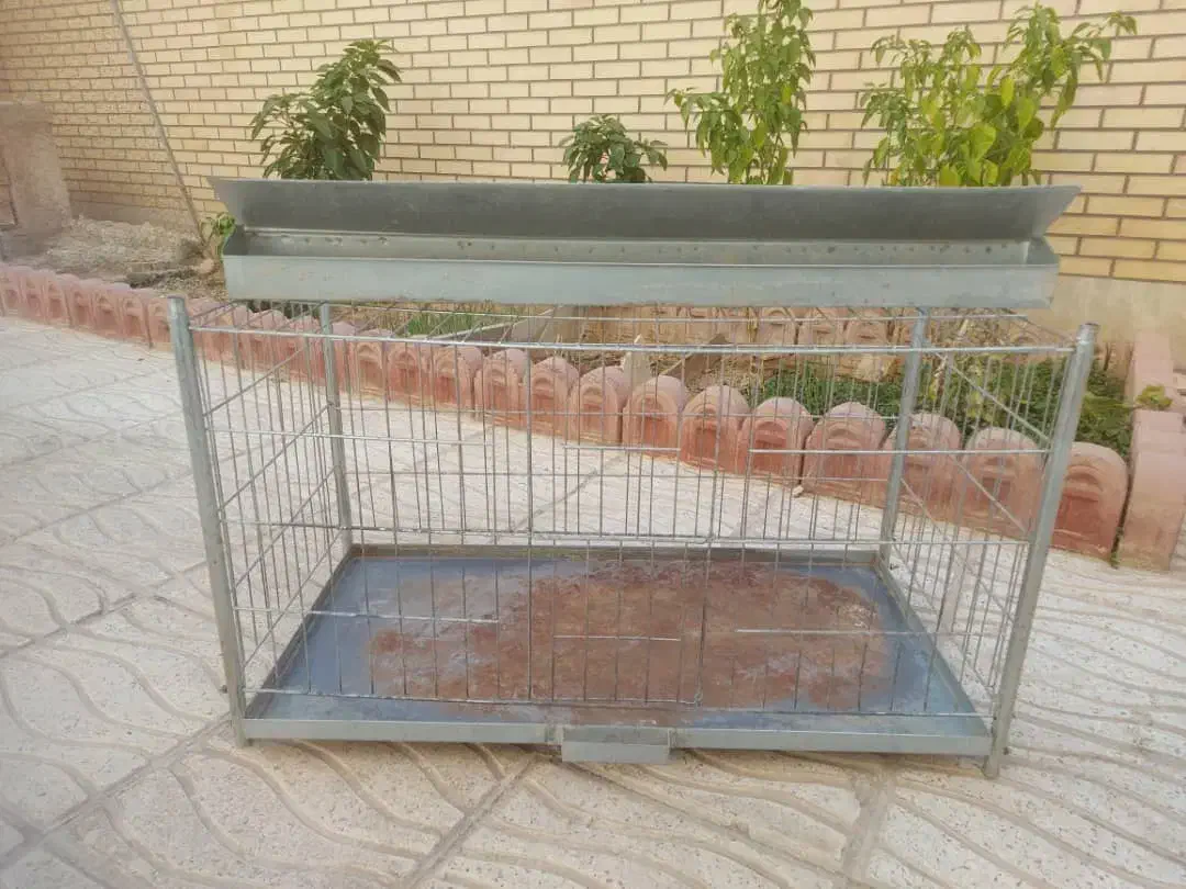 فروش قفسه چوبی و گالوانیزه|لوازم جانبی حیوانات|شهرکرد, |دیوار