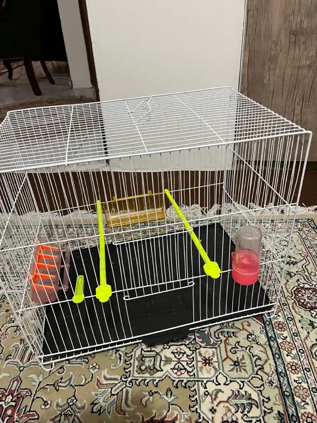 قفس پرنده|لوازم جانبی حیوانات|مشهد, امیریه|دیوار