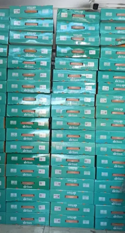 فروش ونصب دوربین مداربسته دزدگیراماکن|دوربین مداربسته|سهند, |دیوار