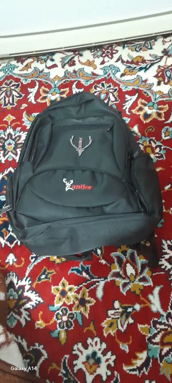 کیف‌|کیف، کفش، کمربند|بجنورد, |دیوار