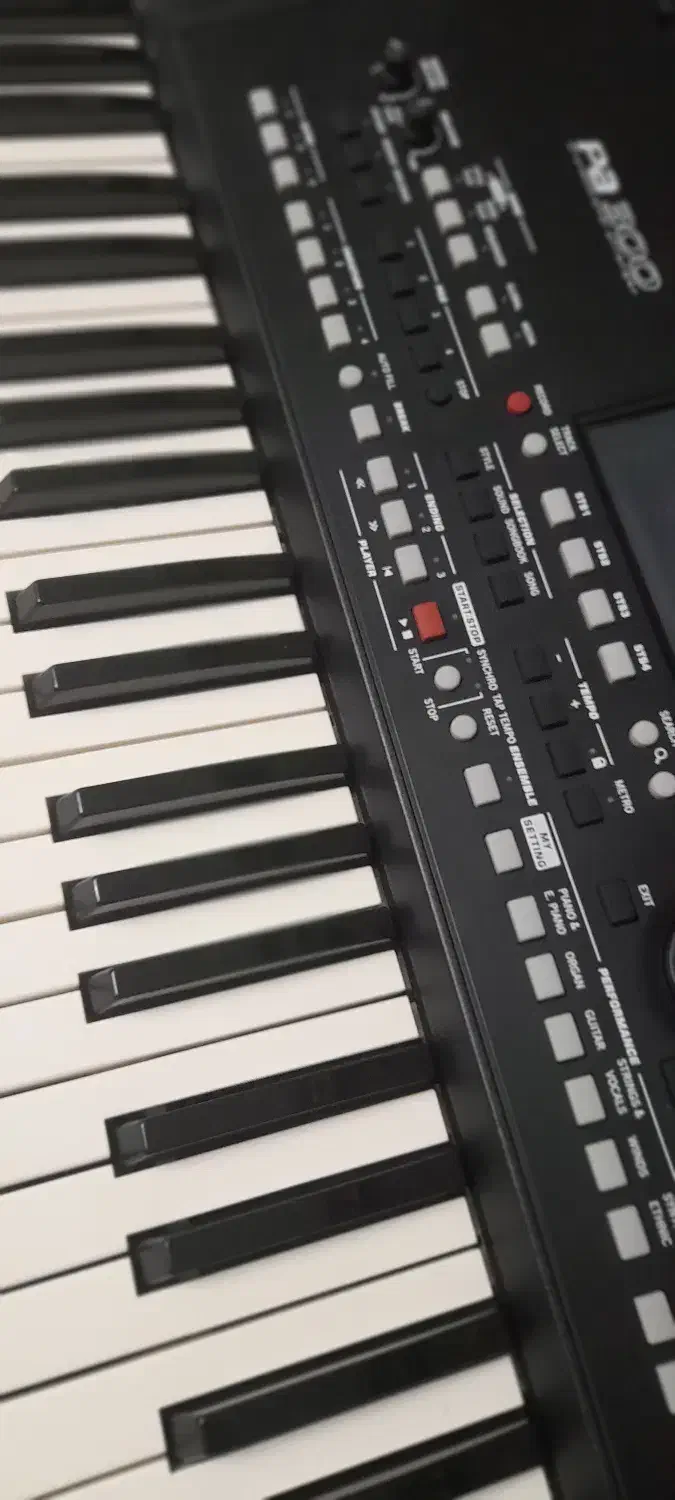 Pa300|پیانو، کیبورد، آکاردئون|چمستان, |دیوار