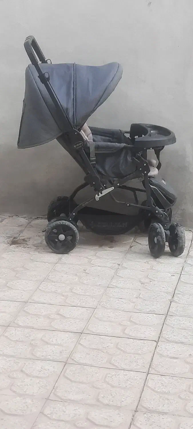 کلاسکه دلیجان|کالسکه و لوازم جانبی|فولادشهر, زاینده رود|دیوار