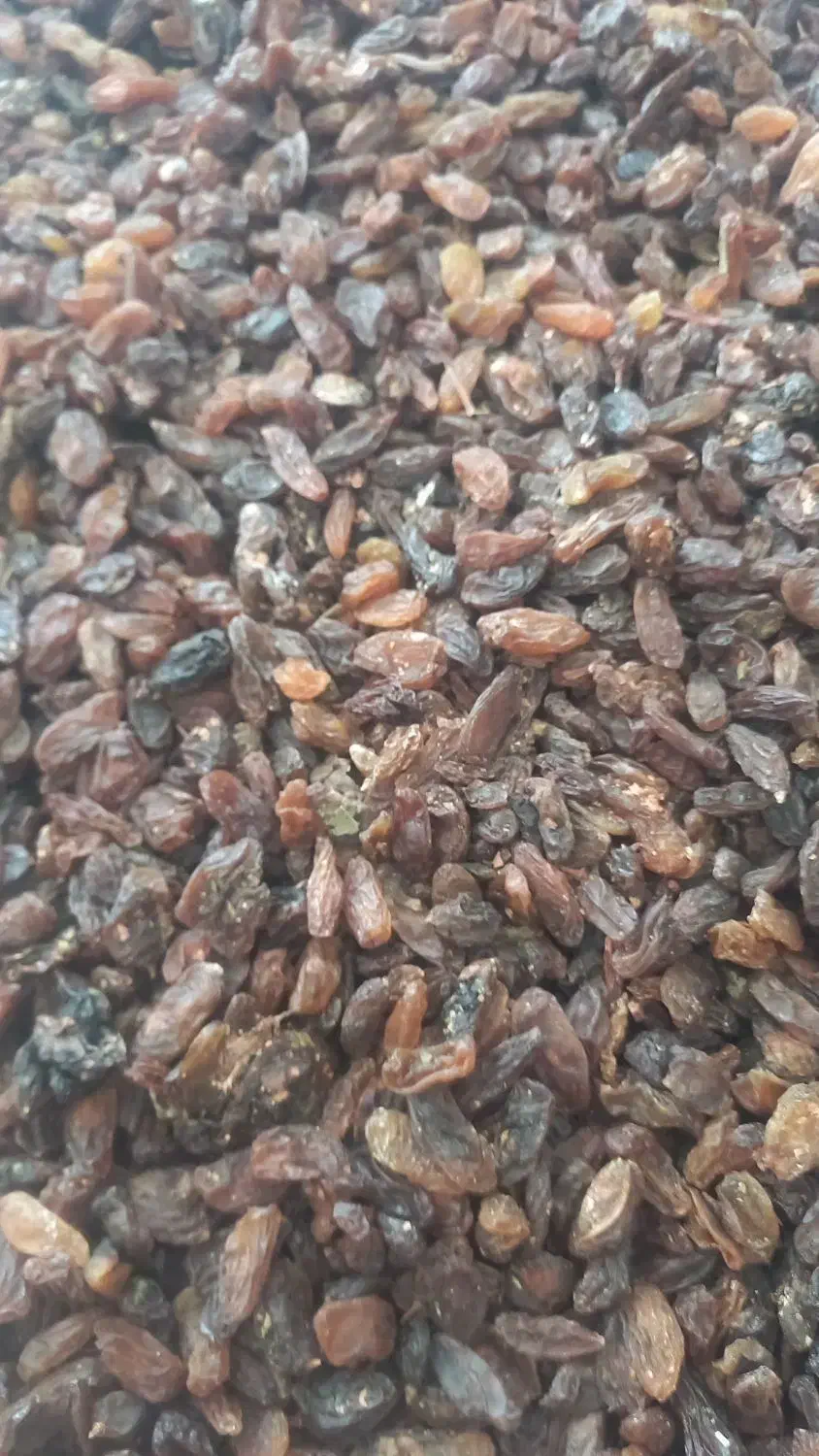 کشمش و مویز افتابی پاک شده|خوردنی و آشامیدنی|نجفآباد, منتظری جنوبی|دیوار