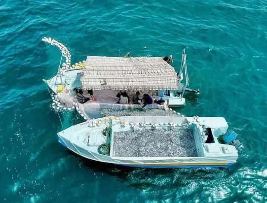 جاشو برای جل کاشخی|استخدام حمل و نقل|قشم, |دیوار